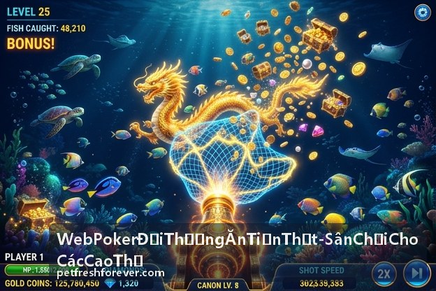 Web Poker Đổi Thưởng Ăn Tiền Thật - Sân Chơi Cho Các Cao Thủ với bàn bài chiến thuật