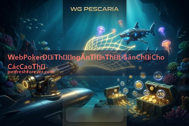 Web Poker Đổi Thưởng Ăn Tiền Thật - Sân Chơi Cho Các Cao Thủ và trải nghiệm giải đấu Poker